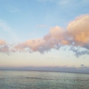 Meet your Posher, Harmony